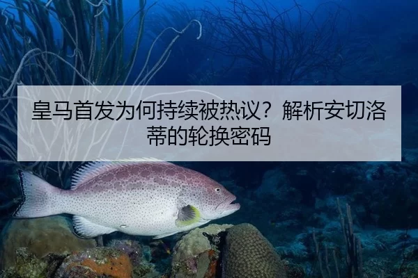 皇马首发为何持续被热议？解析安切洛蒂的轮换密码